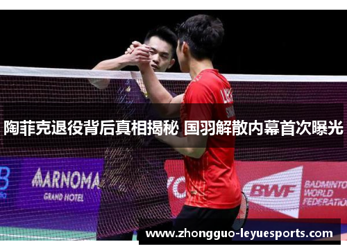 陶菲克退役背后真相揭秘 国羽解散内幕首次曝光 陶菲克退役背后真相揭秘 国羽解散内幕首次曝光